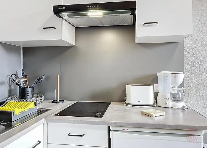 Apartamento Lumineux Proche Centre-ville Et Thermes, Balcon, Parking, Animaux Acceptes - Fr-1-451-211 *