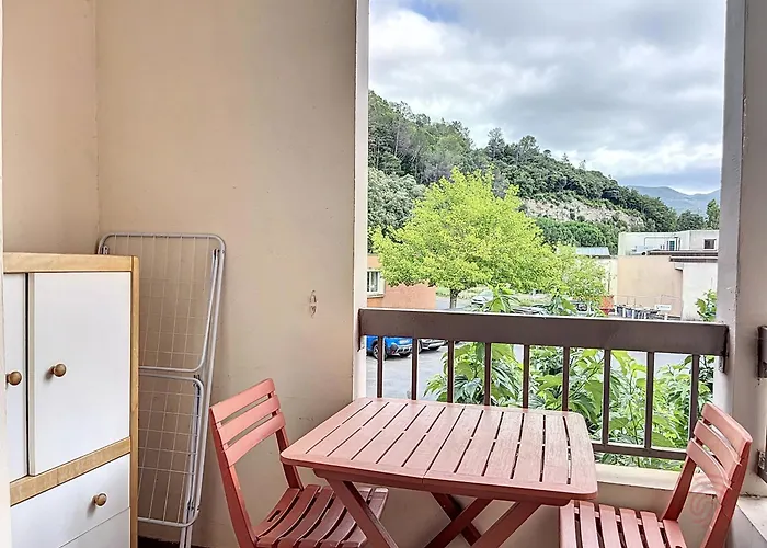 Apartamento Lumineux Proche Centre-ville Et Thermes, Balcon, Parking, Animaux Acceptes - Fr-1-451-211 *
